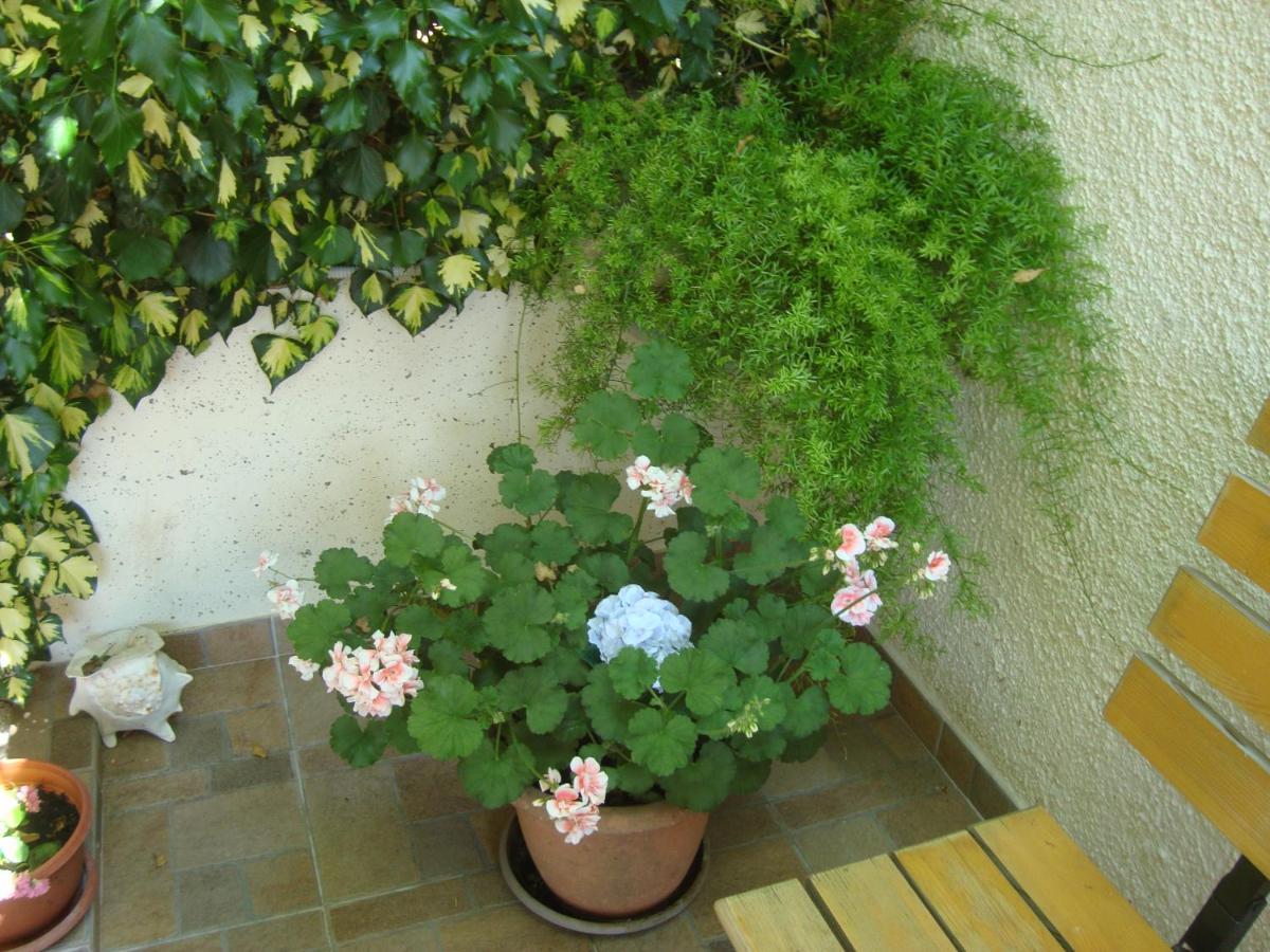 Studio Apartment Lile Trstenik  Exterior foto